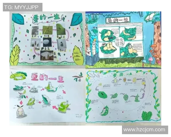 探索三d图谜辽宁真人的奥秘与乐趣，揭开数字游戏的神秘面纱